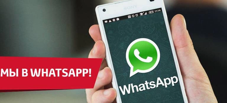 Теперь мы в WhatsApp!